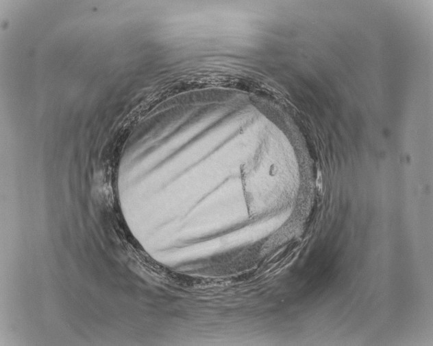 X0000070210771200606161641