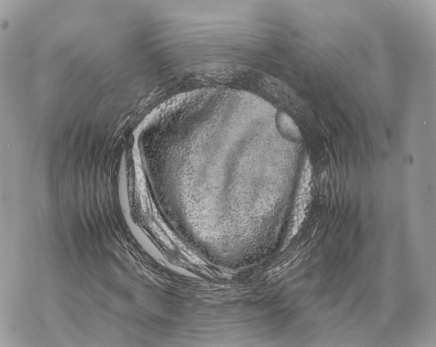 X0000070210772200606161641