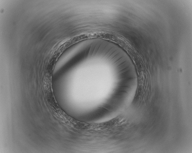 X0000070210773200606161641