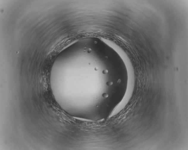 X0000070210774200606161641