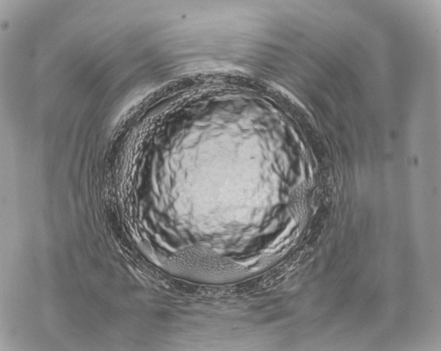 X0000070210775200606161641