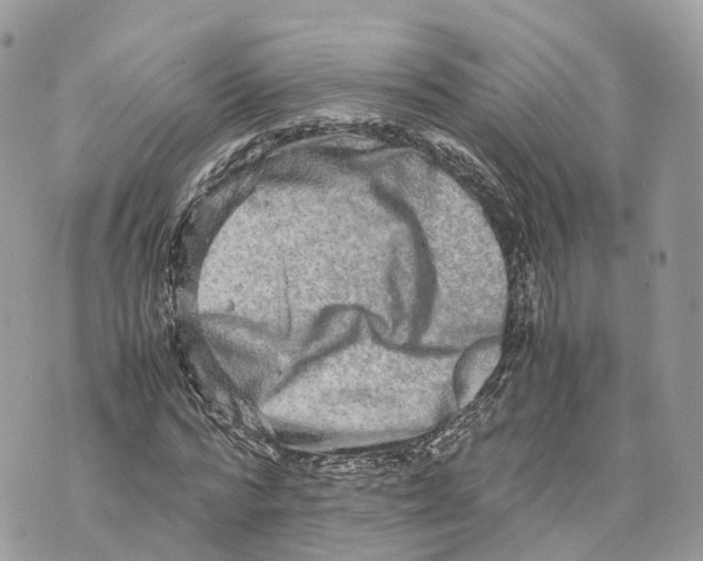 X0000070210776200606161641