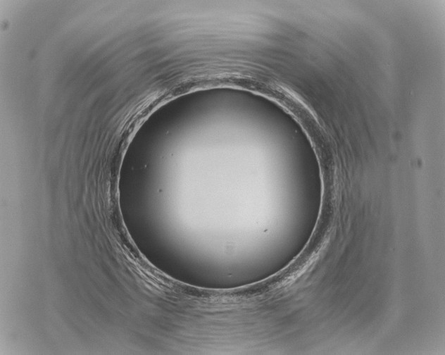 X0000070210777200606161640