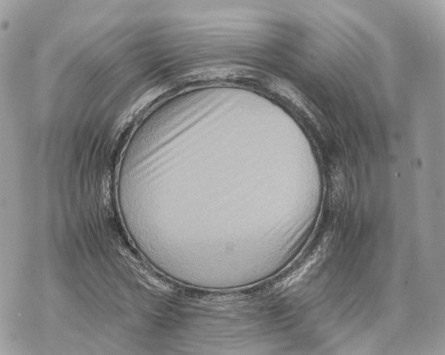 X0000070210778200606161640