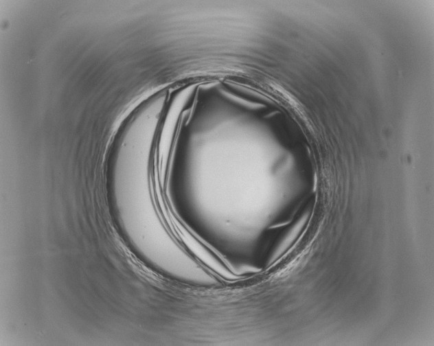 X0000070210779200606161640