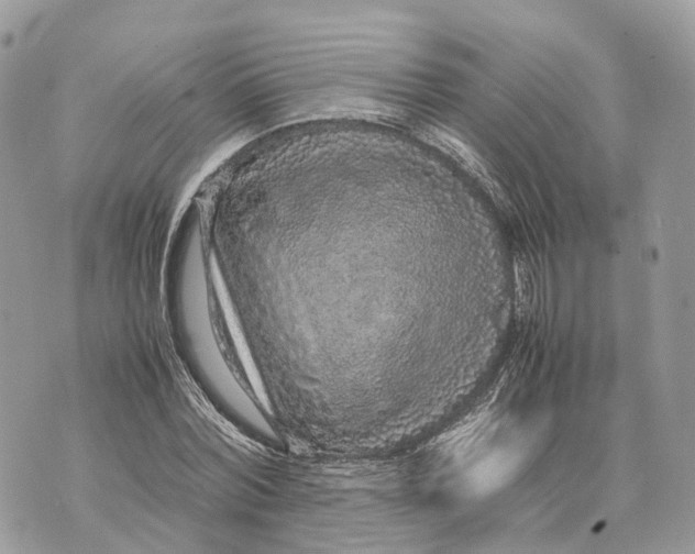 X0000070210780200606161640