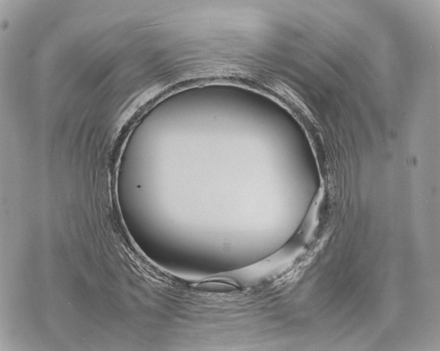 X0000070210781200606161640