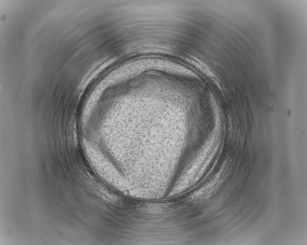 X0000070210782200606161640