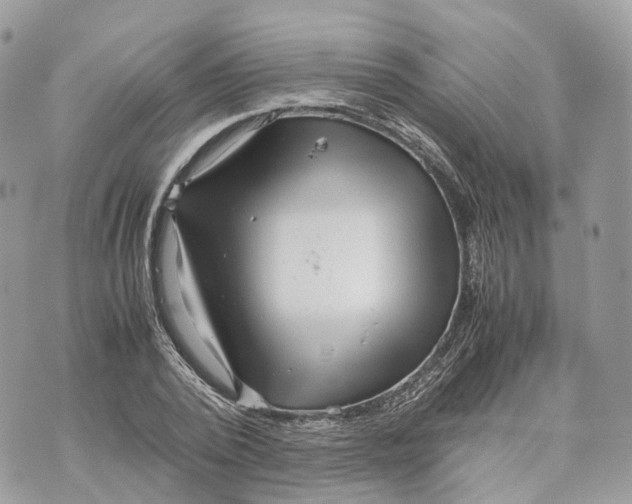 X0000070210784200606161640