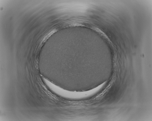 X0000070210785200606161640