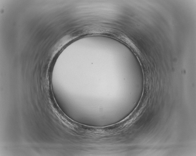 X0000070210787200606161640