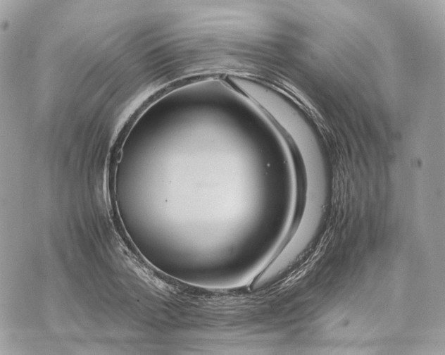 X0000070210788200606161640