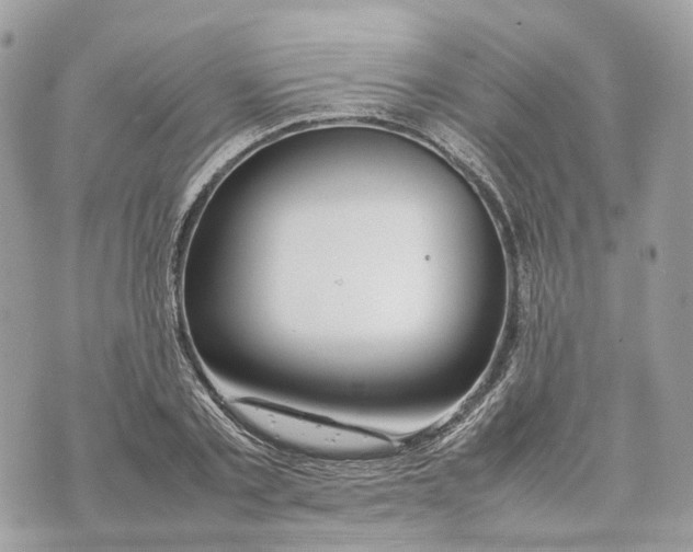 X0000070210789200606161640