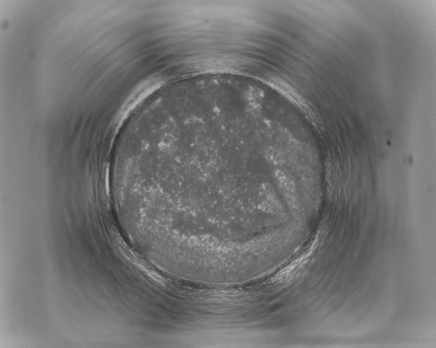 X0000070210790200606161640