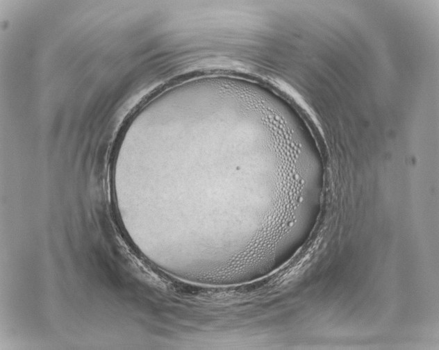 X0000070210791200606161640