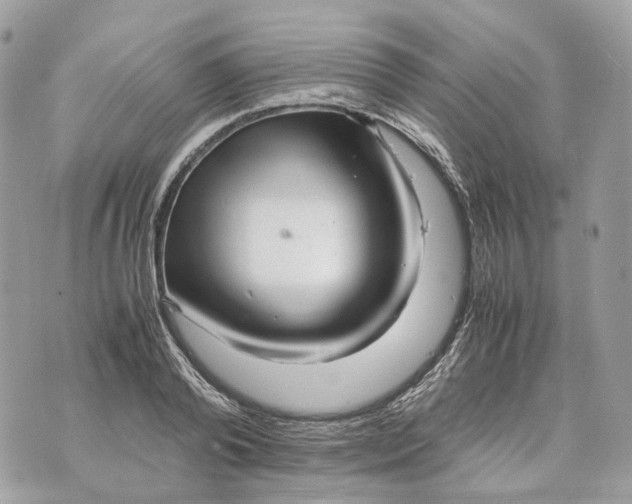 X0000070210792200606161640