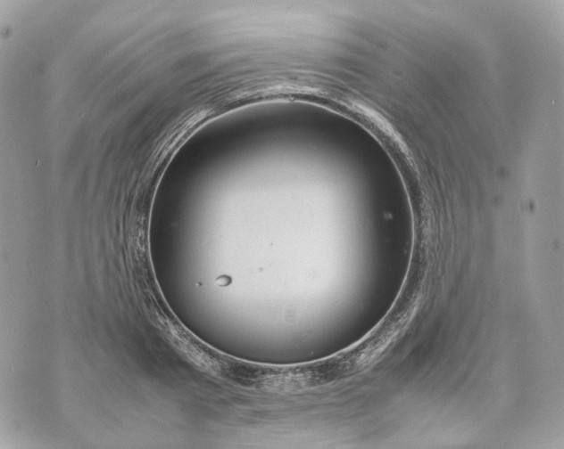 X0000070210793200606161640