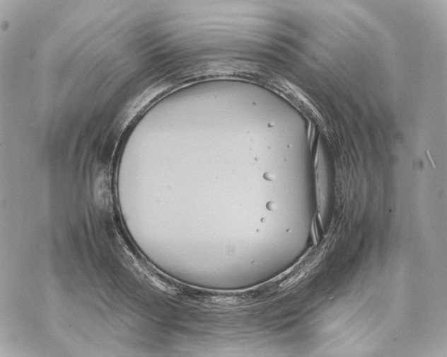 X0000070210794200606161640