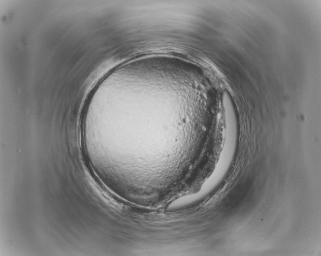 X0000070210795200606161640