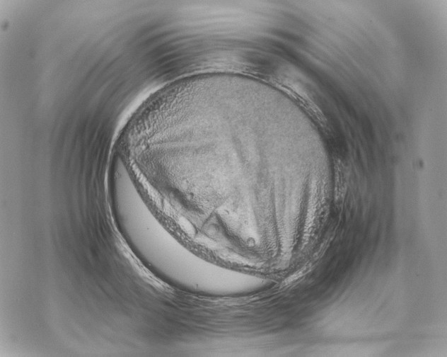 X0000070210796200606161640