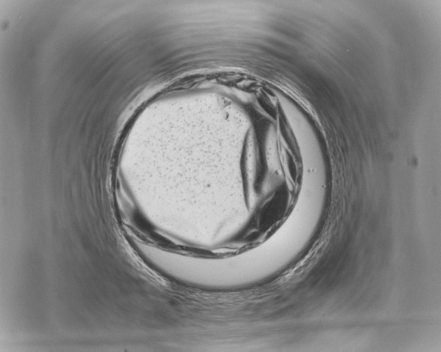 X0000070210797200606161640