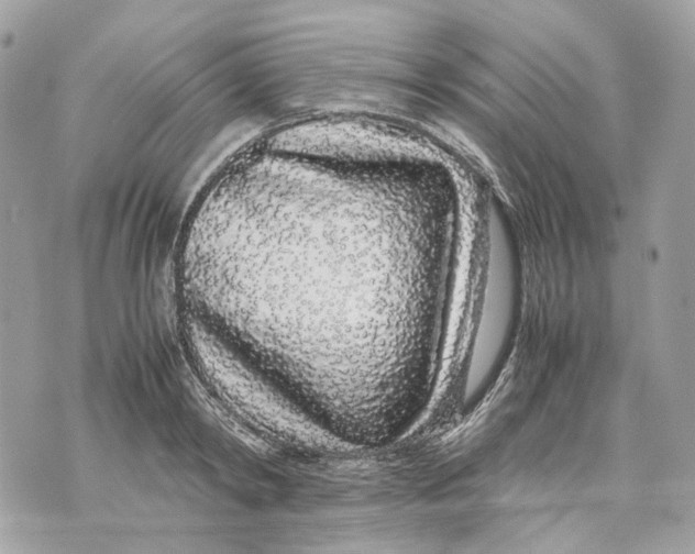 X0000070210798200606161640