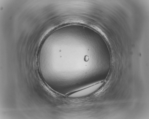 X0000070210799200606161640