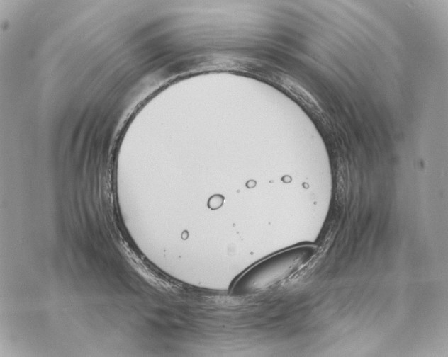 X0000070210800200606161640