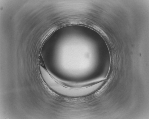 X0000070210801200606161640