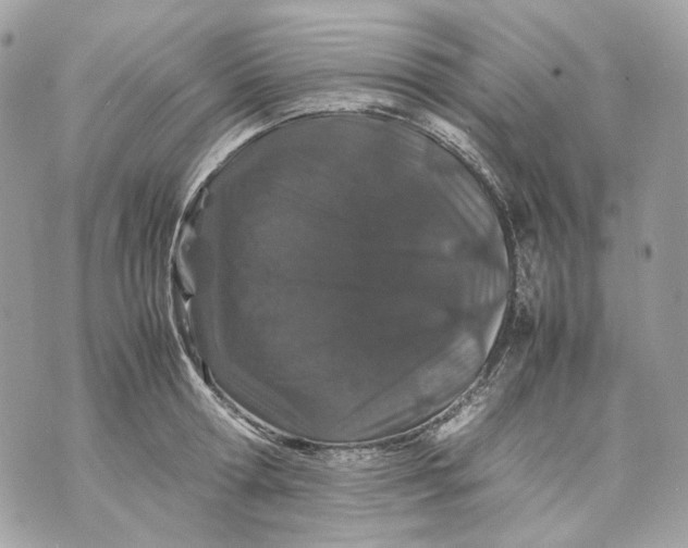 X0000070210802200606161640