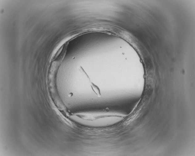 X0000070210803200606161640