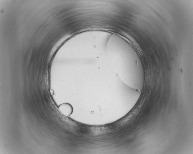 X0000070210804200606161640