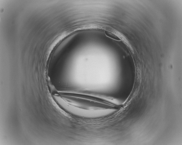 X0000070210805200606161640