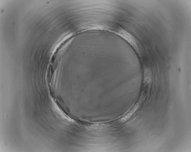 X0000070210806200606161640