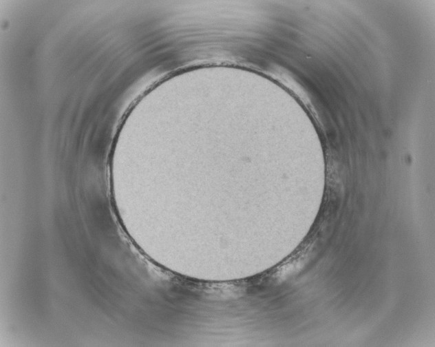 X0000070210807200606161640