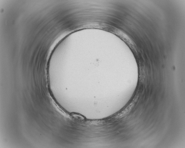 X0000070210808200606161640