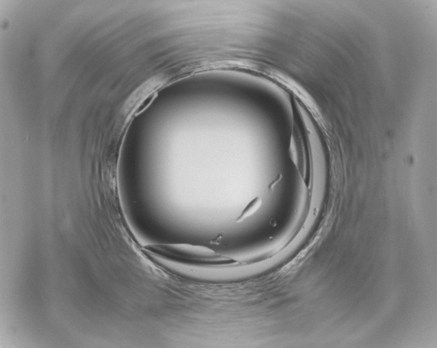 X0000070210809200606161640