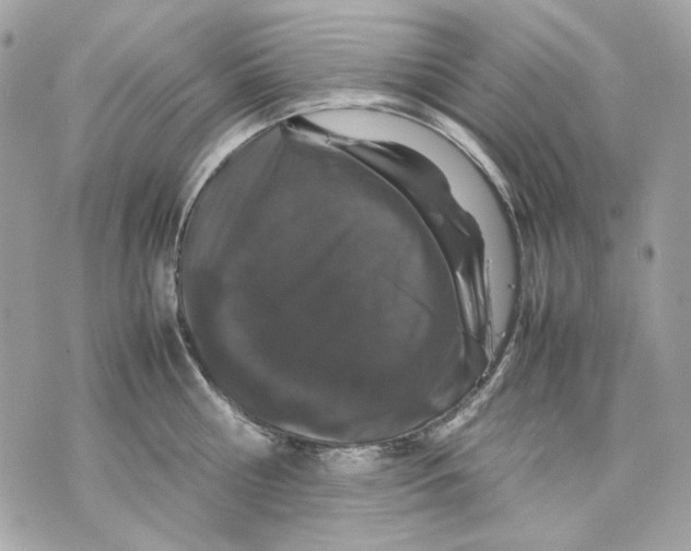 X0000070210810200606161640