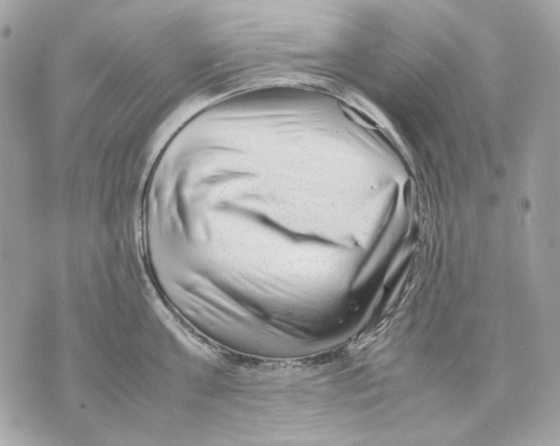 X0000070210811200606161640