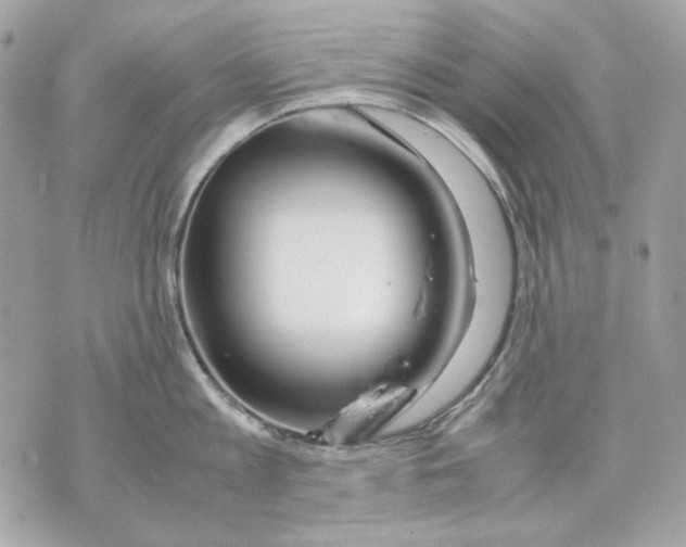 X0000070210813200606161640