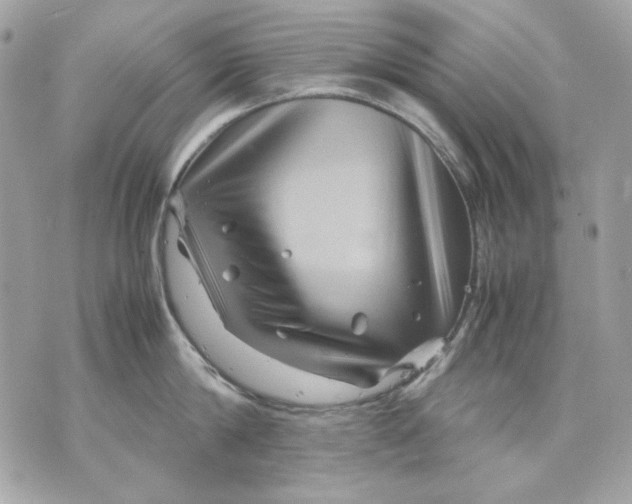 X0000070210814200606161640