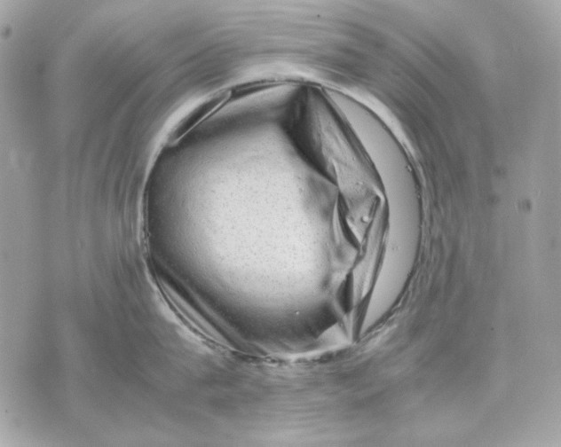 X0000070210815200606161640