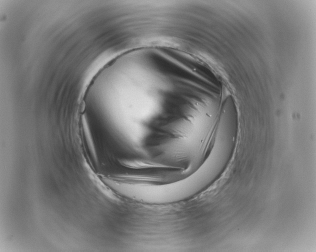 X0000070210816200606161640