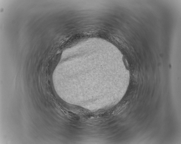 X0000070210817200606161639