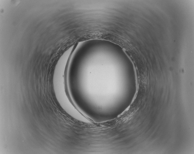 X0000070210818200606161639