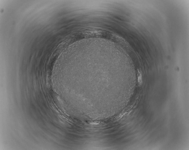 X0000070210819200606161639