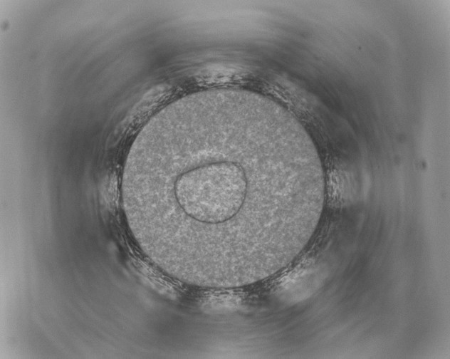 X0000070210820200606161639