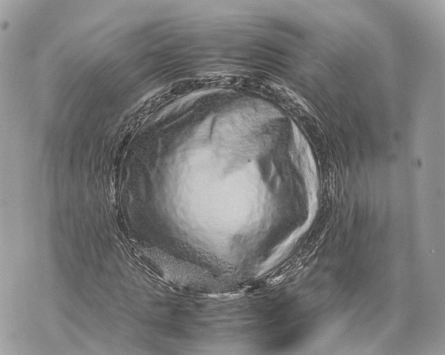 X0000070210821200606161639