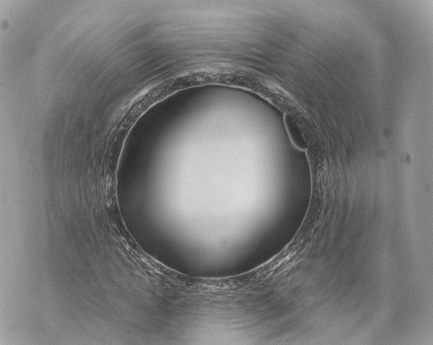 X0000070210822200606161639