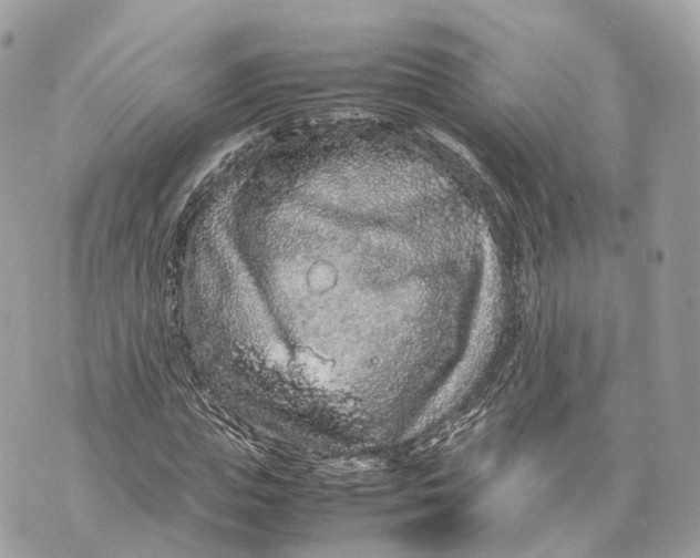 X0000070210823200606161639